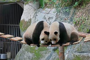 卡卡庆祝结婚4周年：一起走过春夏秋冬，一起经历雨雪风霜